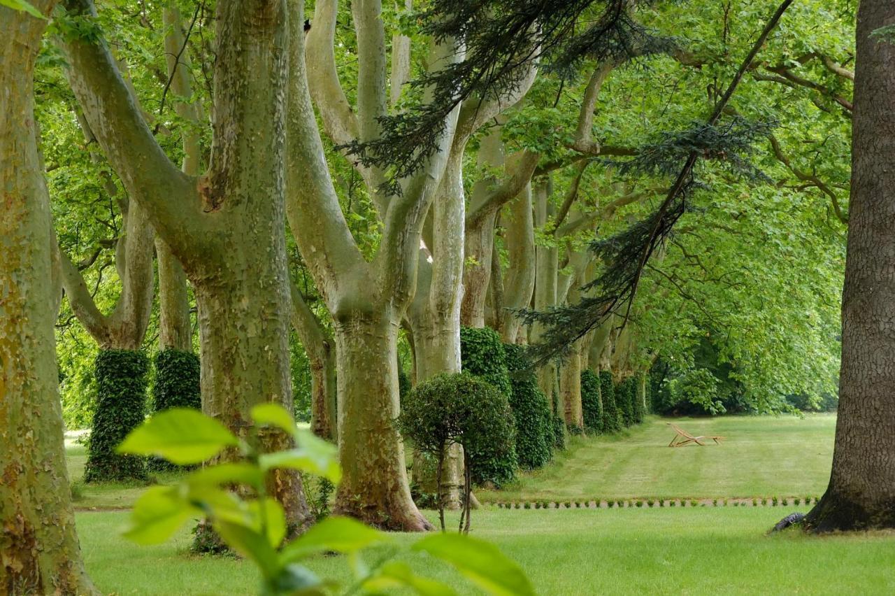 La Suite De La Bastide Val-de-Dagne Екстер'єр фото